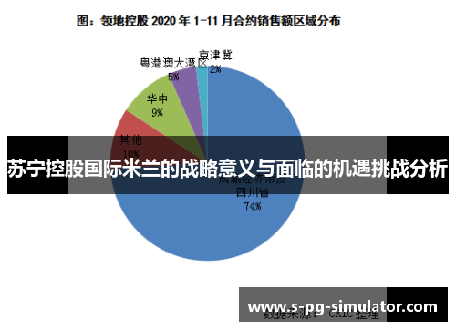 苏宁控股国际米兰的战略意义与面临的机遇挑战分析 苏宁控股国际米兰的战略意义与面临的机遇挑战分析