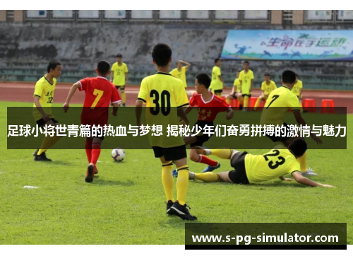 足球小将世青篇的热血与梦想 揭秘少年们奋勇拼搏的激情与魅力 足球小将世青篇的热血与梦想 揭秘少年们奋勇拼搏的激情与魅力