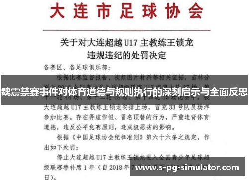 魏震禁赛事件对体育道德与规则执行的深刻启示与全面反思